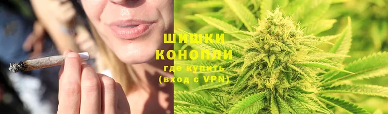 Шишки марихуана OG Kush  Данков 